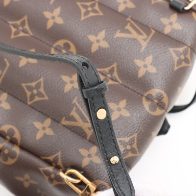 Louis Vuitton Palm Springs Backpack - 4