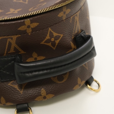 Louis Vuitton Palm Springs Backpack - 6