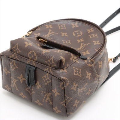 Louis Vuitton Palm Springs Backpack - 9