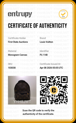 Louis Vuitton Palm Springs Backpack - 10