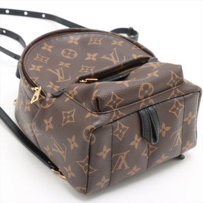Louis Vuitton Palm Springs Backpack - 11