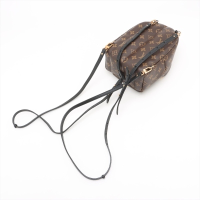 Louis Vuitton Palm Springs Backpack - 12