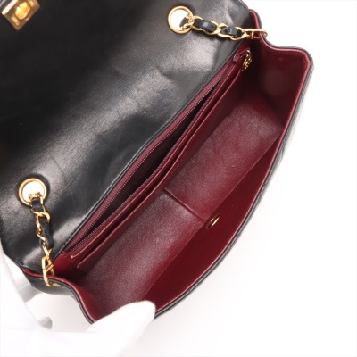 Chanel Diana Medium Flap Bag - 10