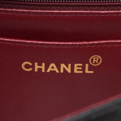 Chanel Diana Medium Flap Bag - 13