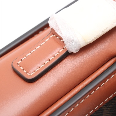 Celine Teen Triomphe Crossbody Bag - 5