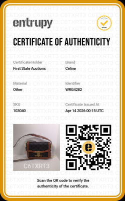 Celine Teen Triomphe Crossbody Bag - 8